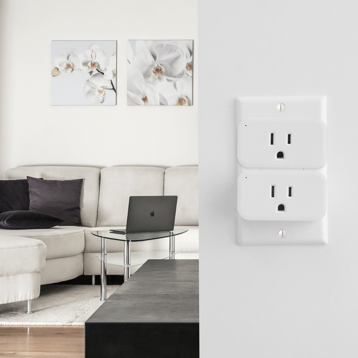 Smart Plug